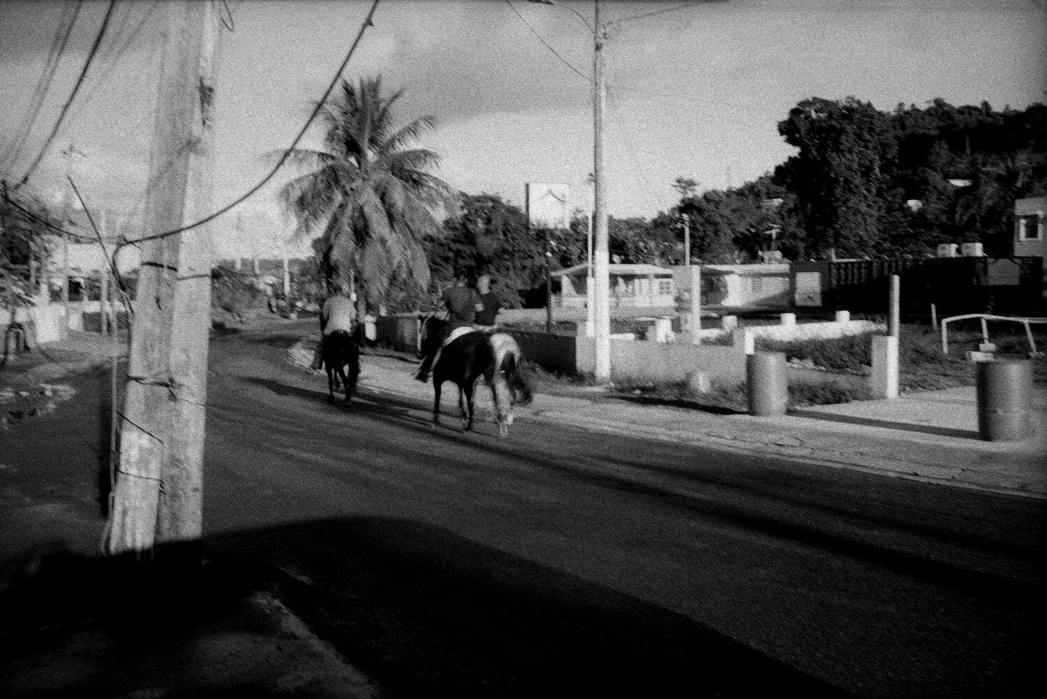 trix400__211.jpg