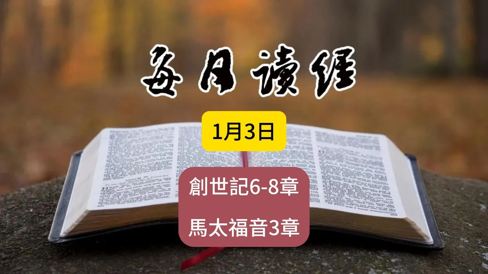 每日讀經概要 1月3日 創6-8章 太3章
