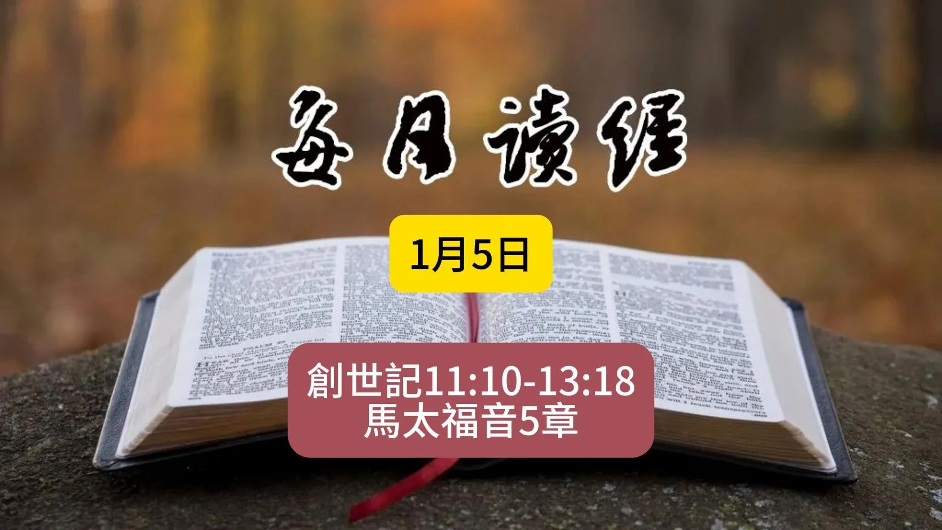 1月5日讀經概要 創11:9-13:18；太5