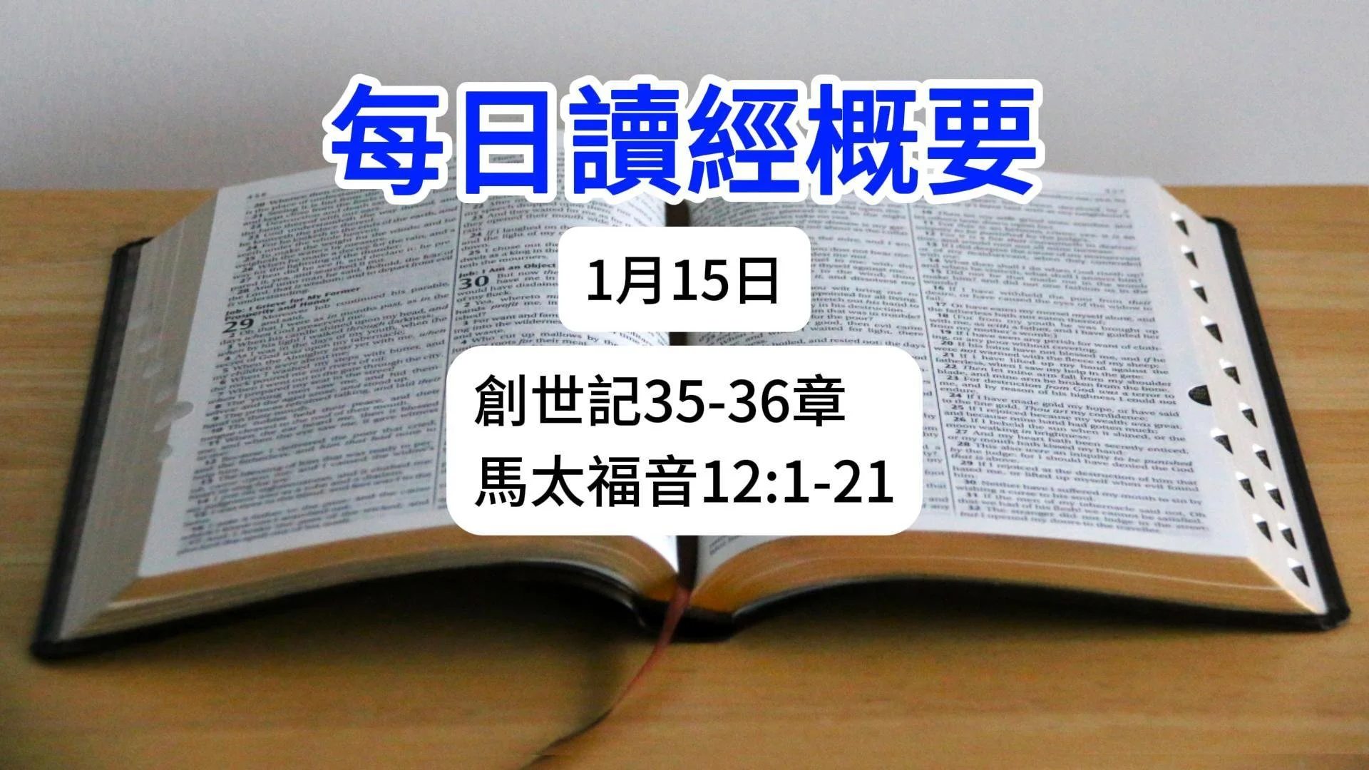 1月15日 讀經概要