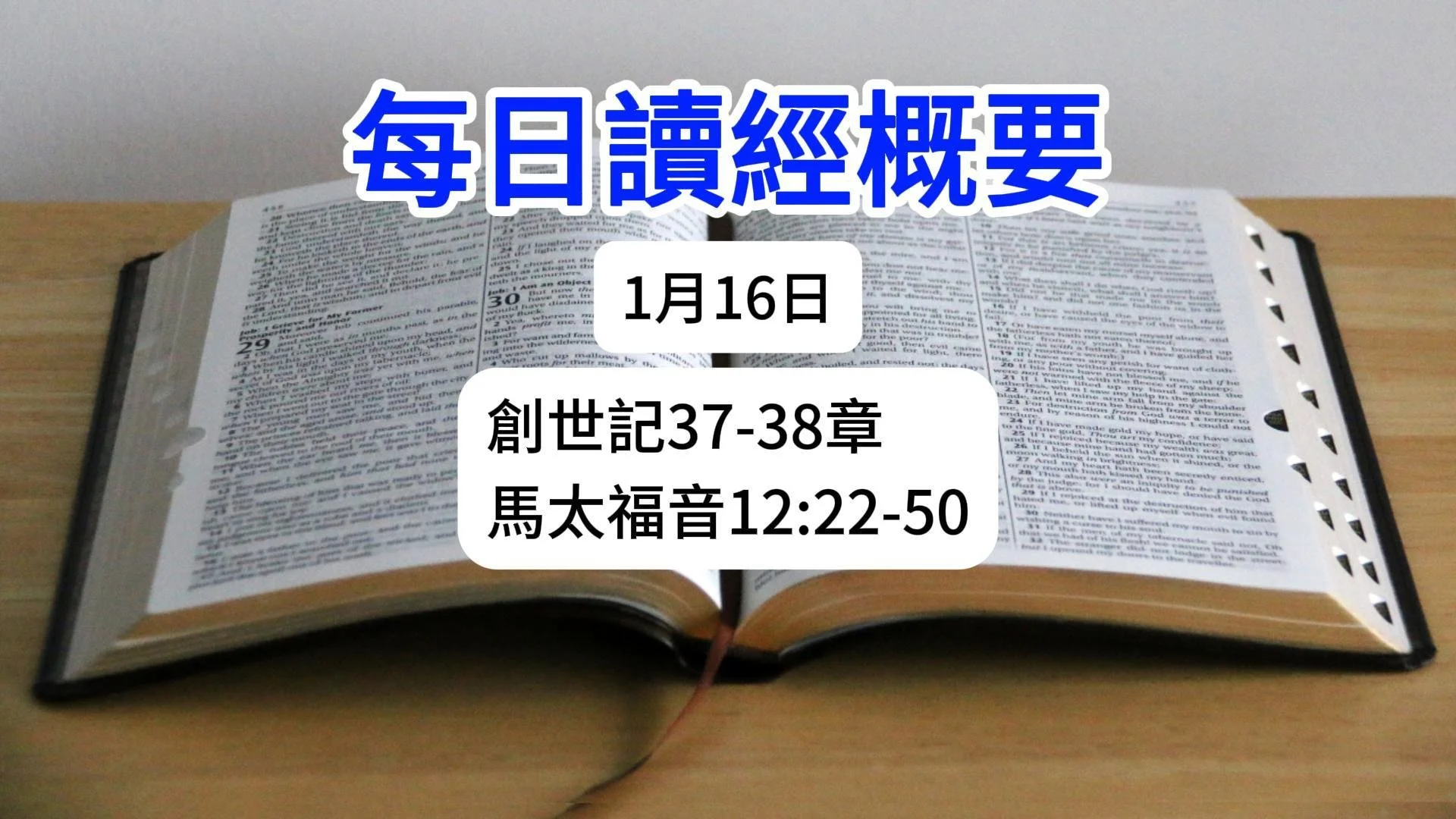 1月16日 讀經概要