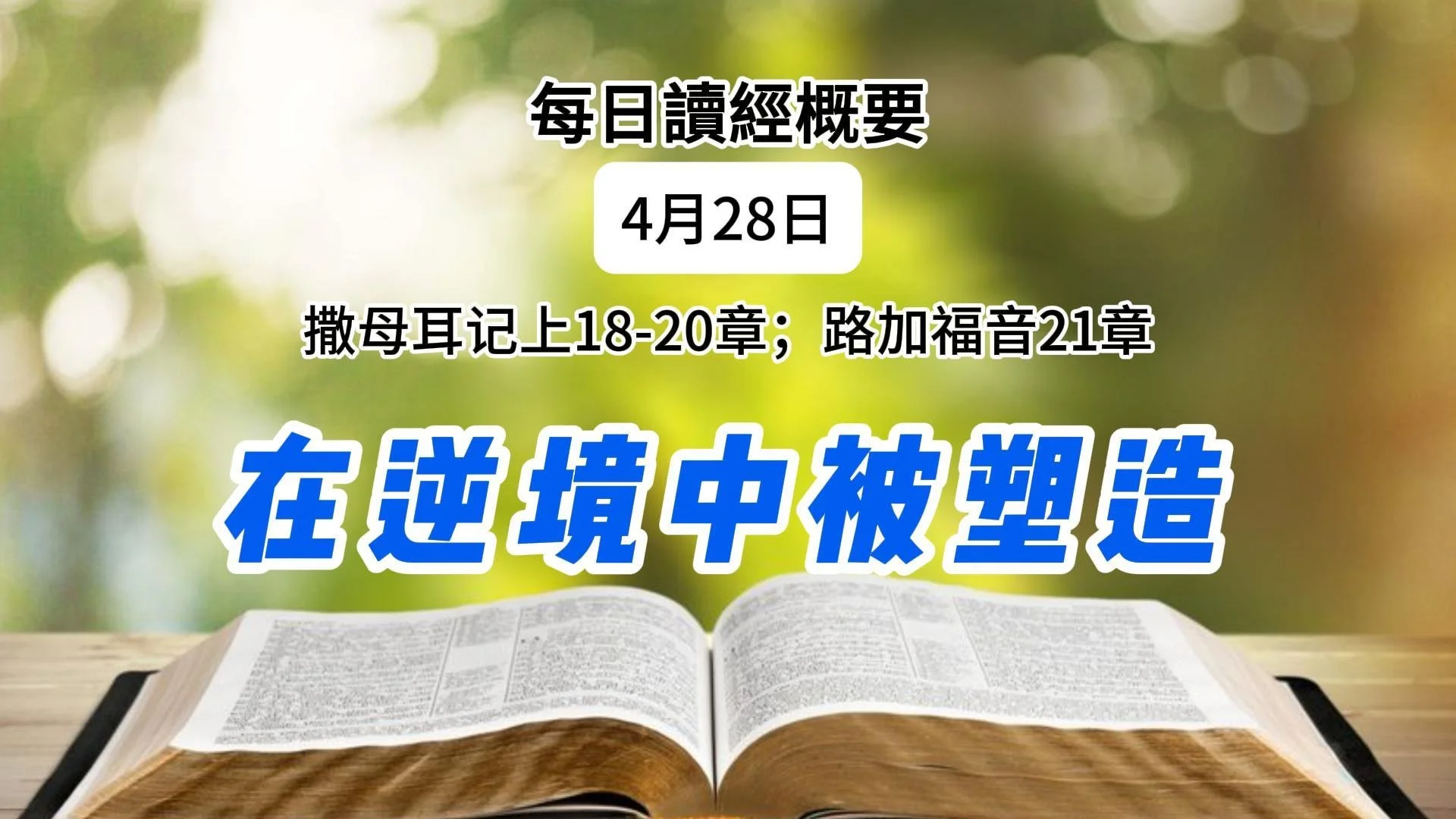 4月28日 读经概要