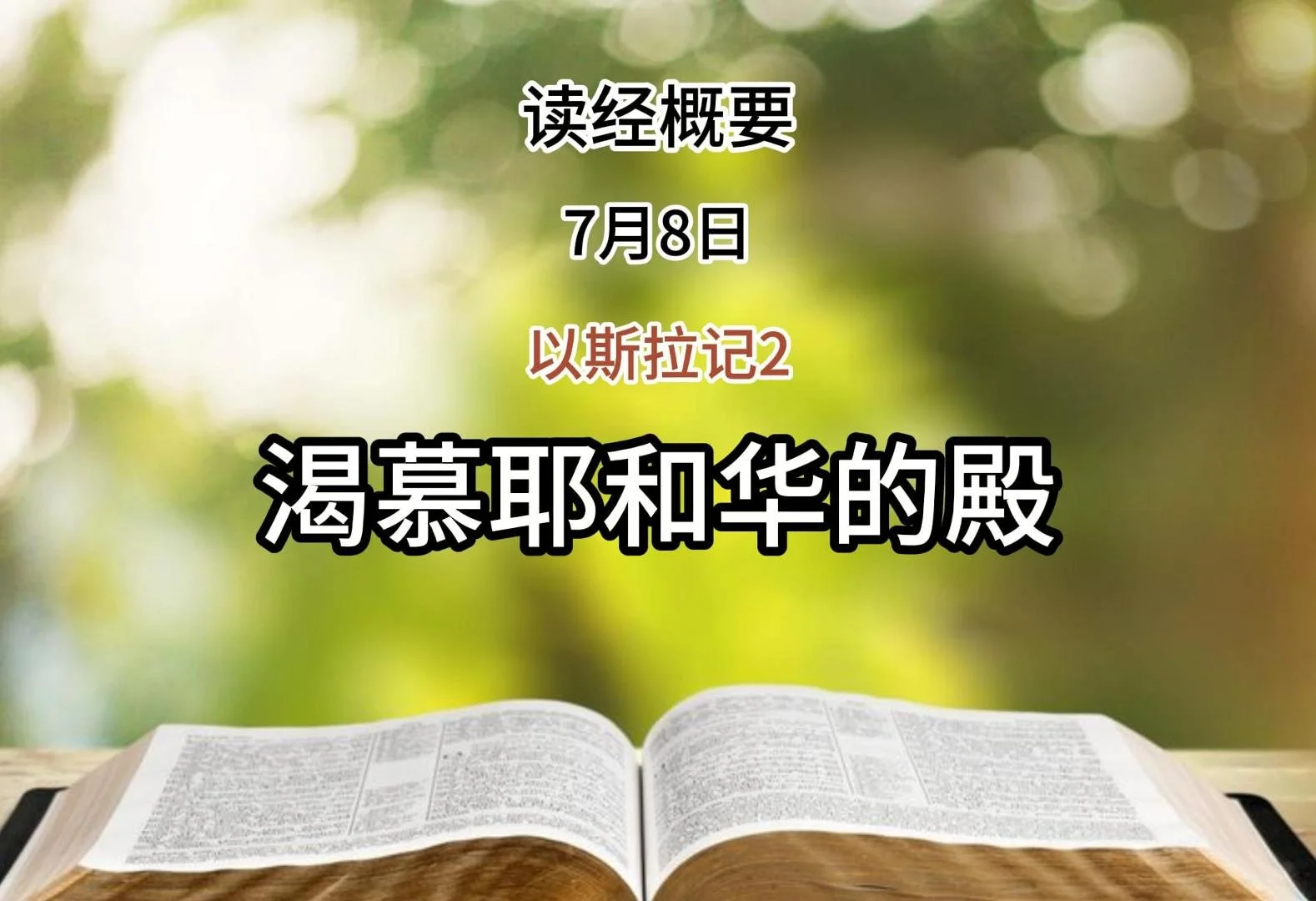 7月8日 读经概要