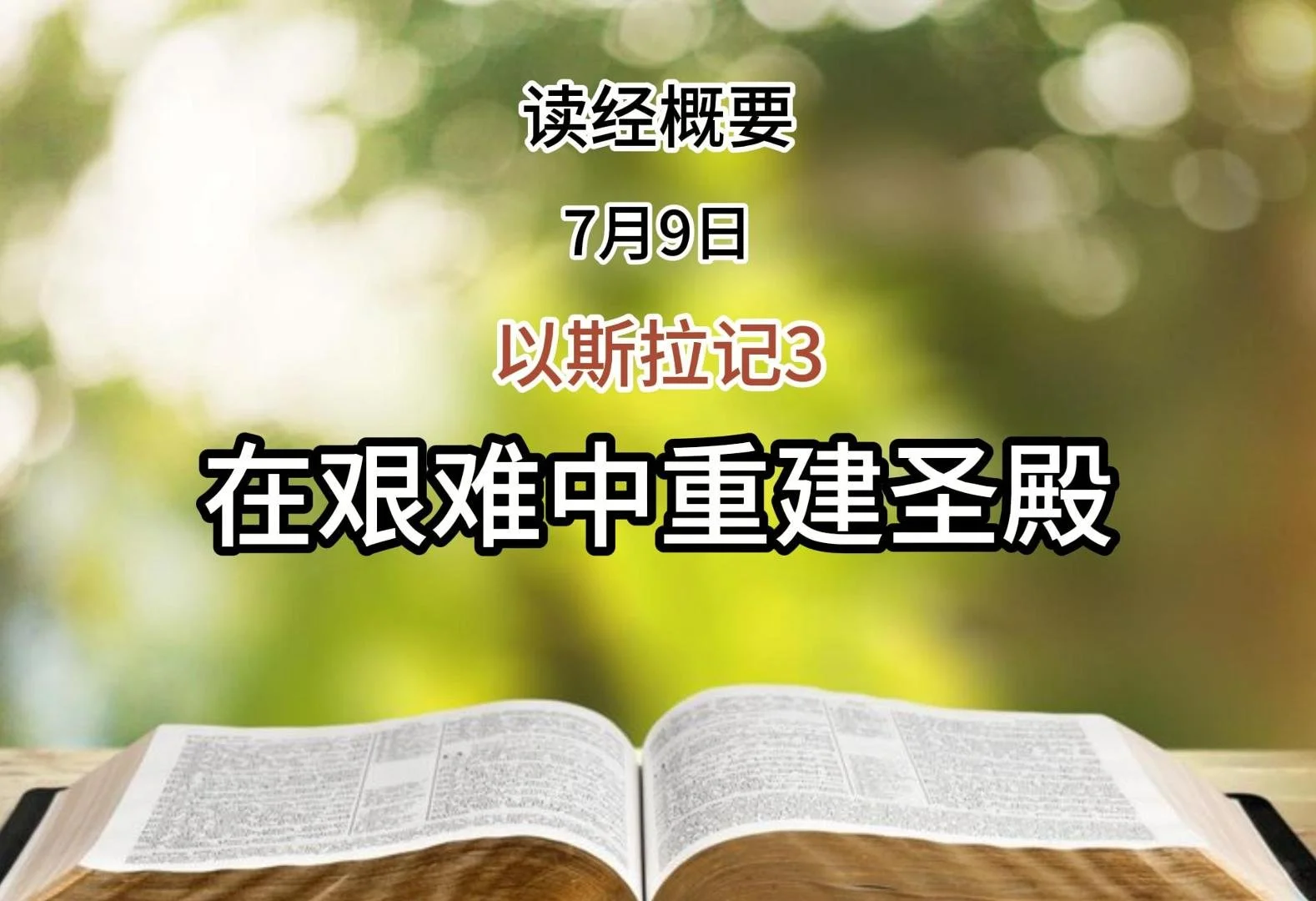 7月9日 读经概要
