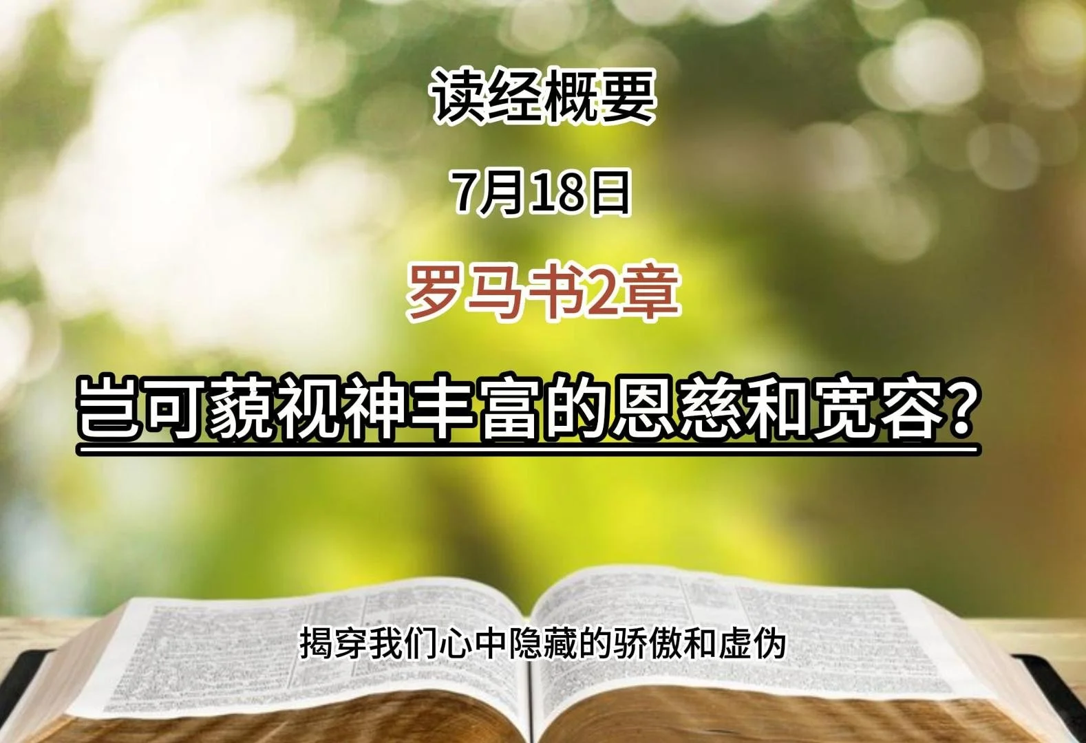 7月18日 读经概要