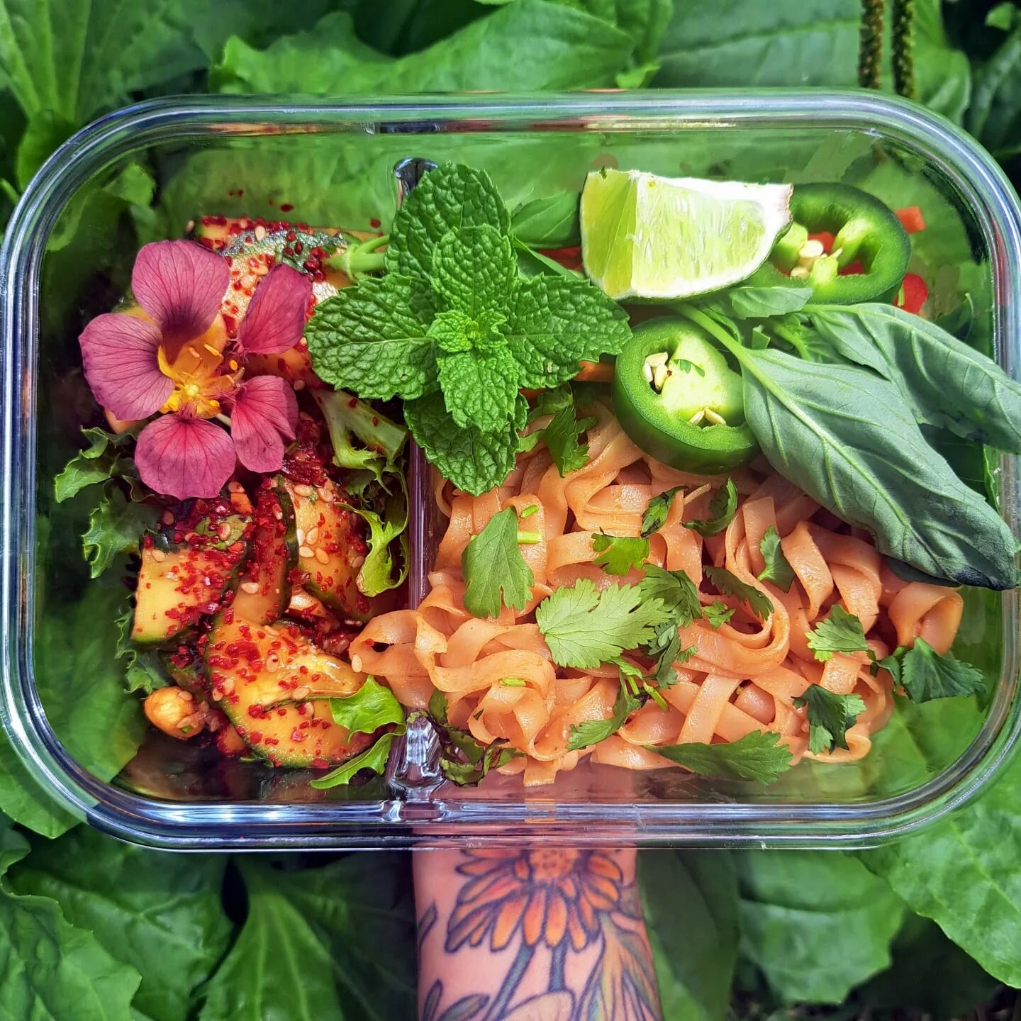 Even though it's springtime, I know it won't last long here in Florida and summer will soon be right around the corner ☀️

My favorite thing to munch on when it is too hot is this bowl right here. 
Rice noodles tossed in our peanut sauce with a side 