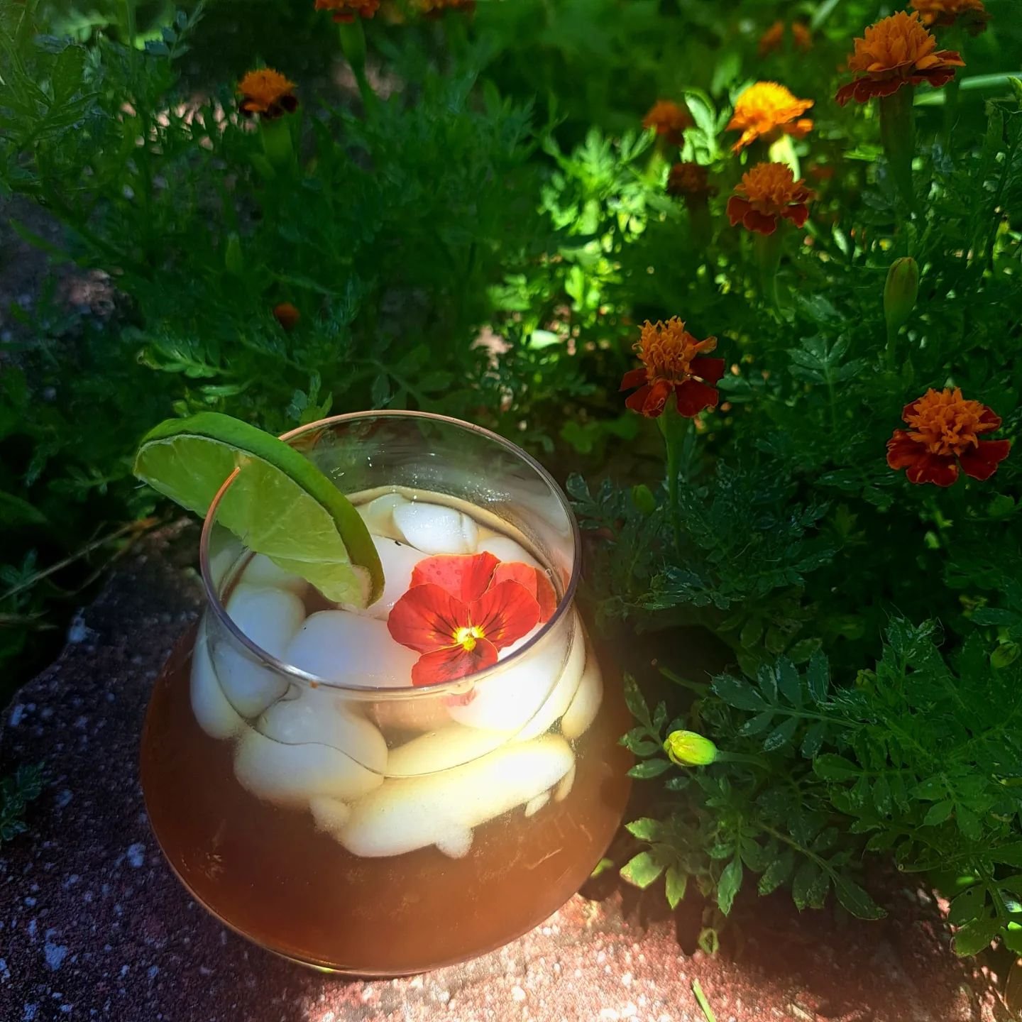 ICED EMOLIENTE

This has been keeping me hydrated during the hotter days working in the garden.  A staple to Peru and found in most food cart stands throughout the seasons this elixir is usually served warm but with Floridas brutal heat, this drink i