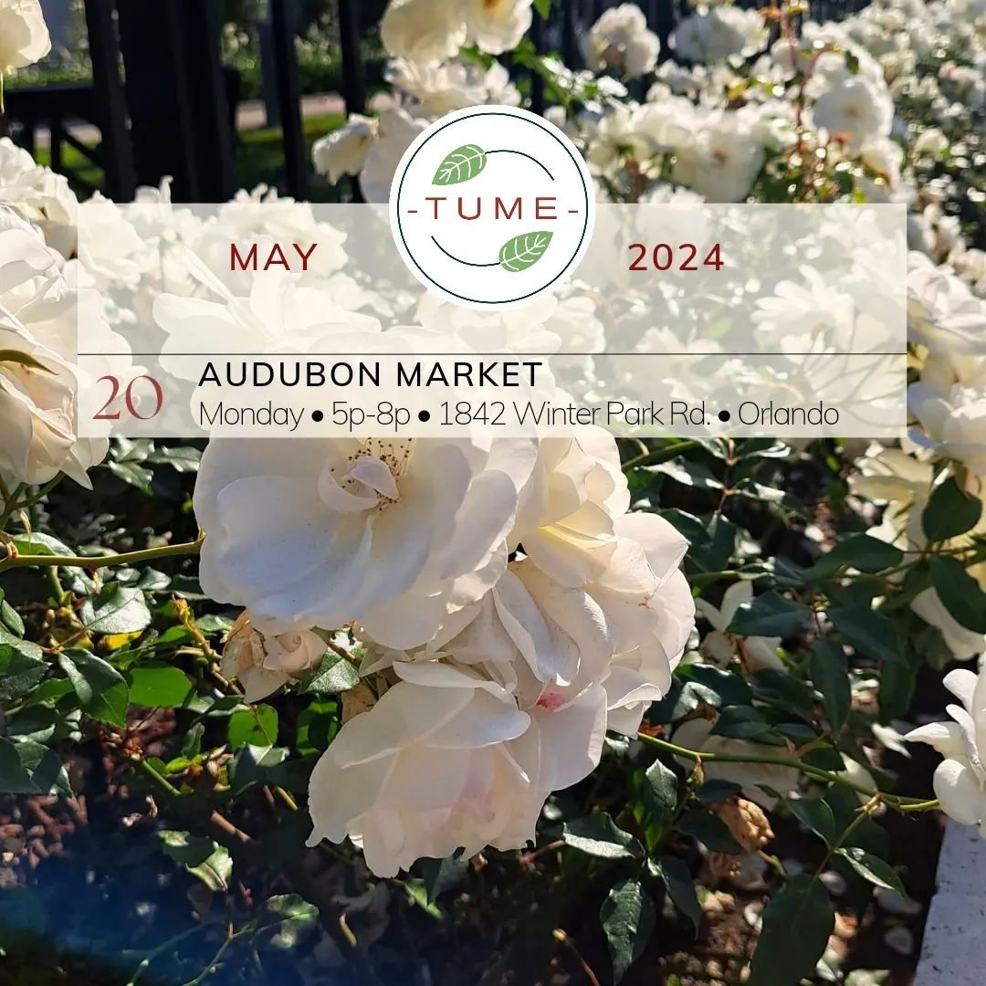 Y'all we back on the East Side. And we will be back to @audubonmarket NEXT Monday!

Since it's hot as heck already out here, I am not going to be doing any more outdoor pop-ups for the entire summer (cooking in 100F is not ideal whatsoever). 

I'm so