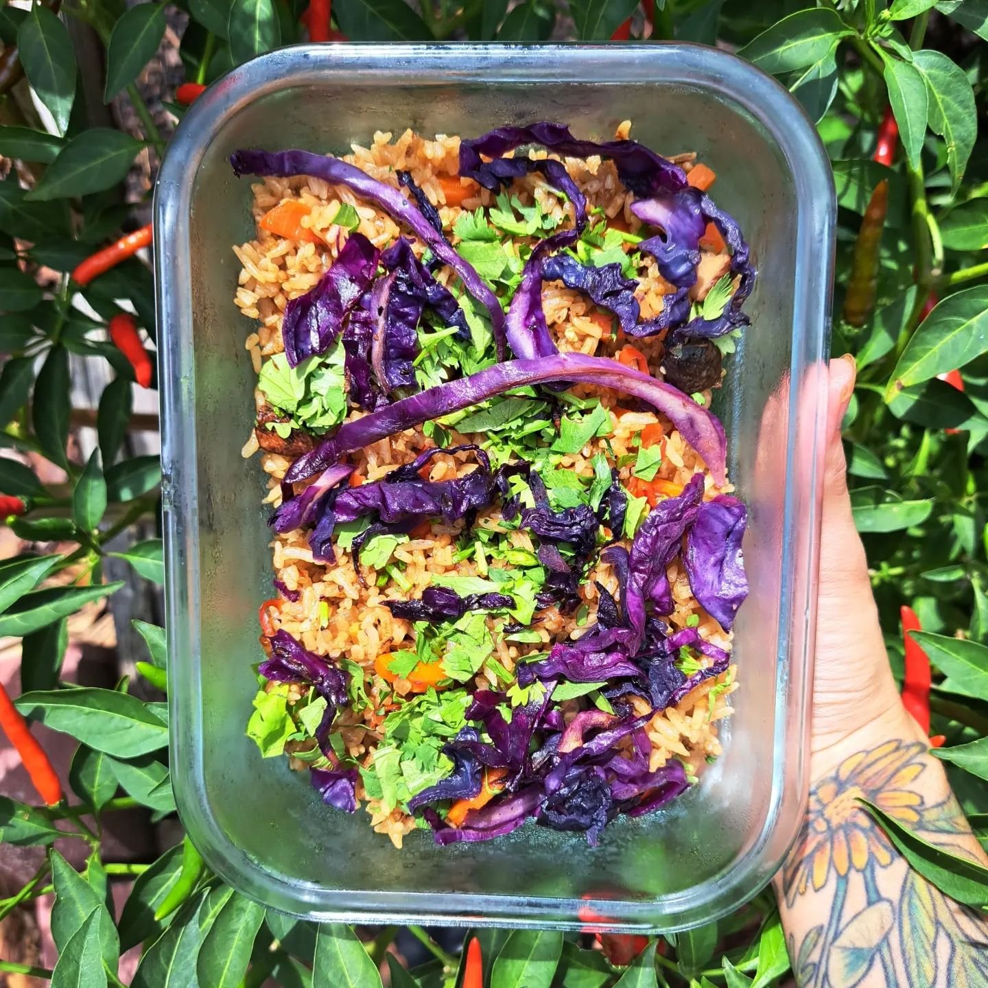 Another week, another meal prep. Vamos a comer riquisimo amores!

💜 Indo-Chinese Fried Rice
Fried rice tossed with homegrown ginger, homegrown green chili, local cabbage, carrots &amp; peppers. Topped with homegrown cilantro. 

🥦 Korean Caesar Sala