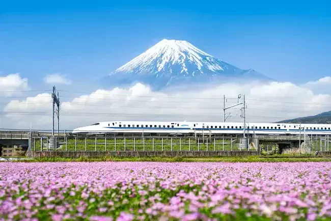 Putting the "Eki" in Ekibentō