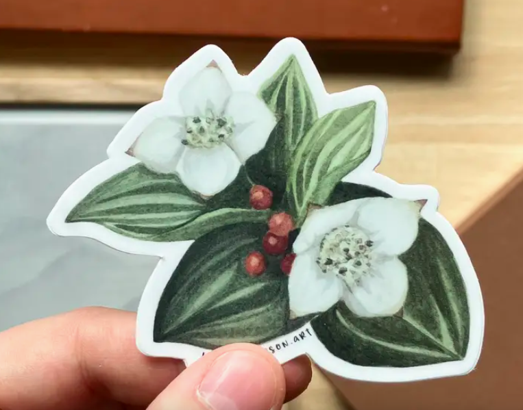 Screen Shot 2026-02-16 at 5.26.06 PM.png