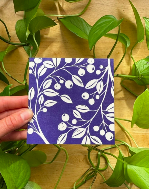 Screen Shot 2026-04-08 at 2.43.52 PM.png