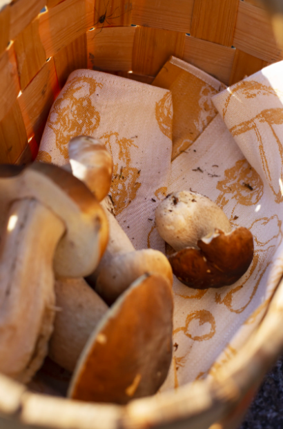 Screen Shot 2026-01-25 at 5.36.09 PM.png