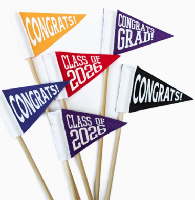 Graduation Tiny Pennant Flags 