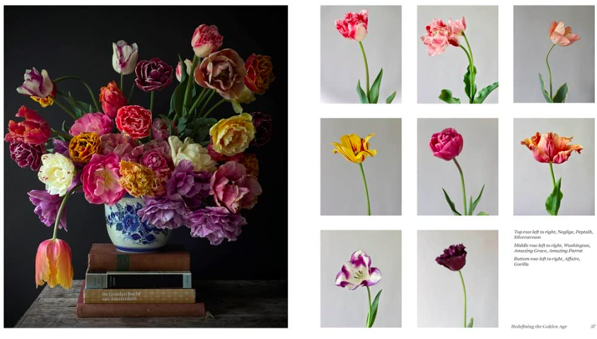 Screen Shot 2026-04-23 at 6.01.38 PM.png