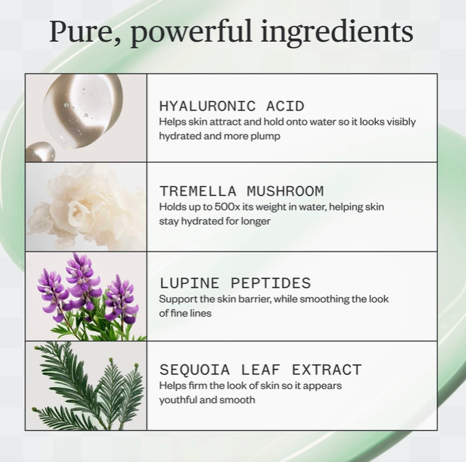 Screen Shot 2026-04-08 at 7.07.46 PM.png