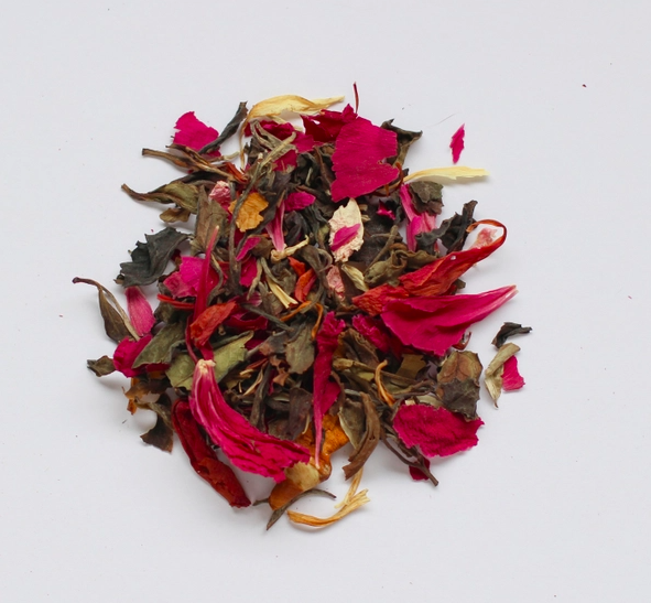 Screen Shot 2026-04-13 at 7.25.15 PM.png (Copy)