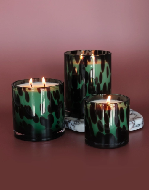 Holiday Tortoise Fraser Fir Candle