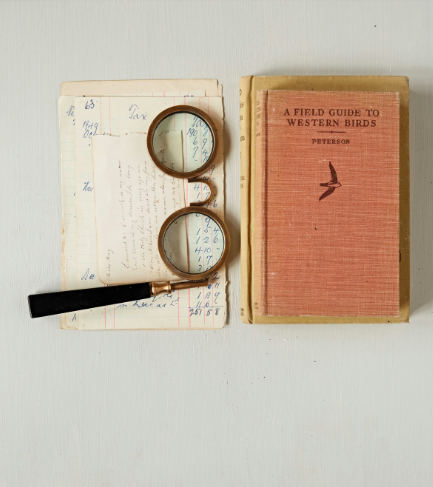 Screen Shot 2026-03-19 at 1.41.14 PM.png