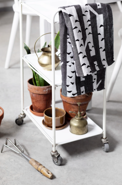 Screen Shot 2026-01-25 at 5.37.17 PM.png