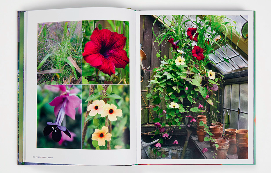 Screen Shot 2026-04-23 at 6.13.20 PM.png