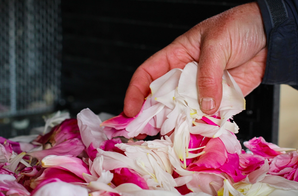 Screen Shot 2026-04-13 at 8.03.00 PM.png