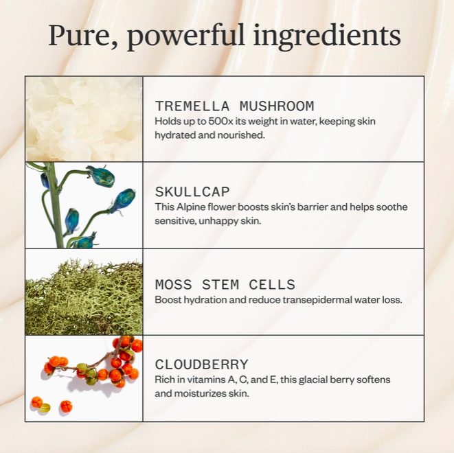 Screen Shot 2025-10-26 at 4.21.52 PM.png