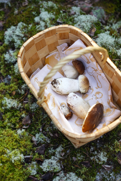 Screen Shot 2026-01-25 at 5.36.20 PM.png