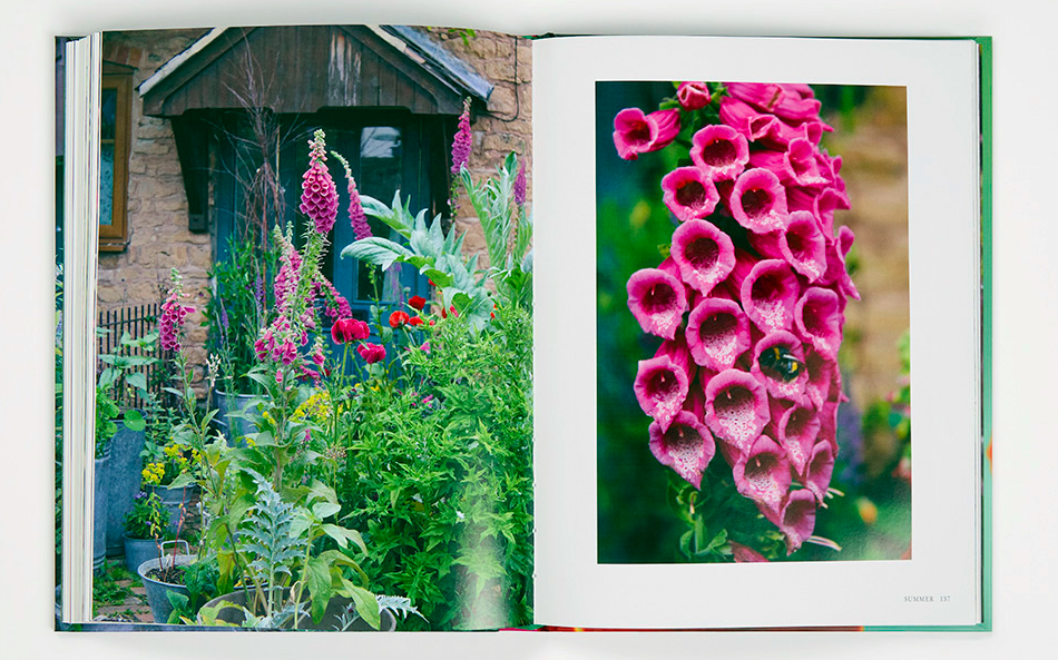 Screen Shot 2026-04-23 at 6.13.31 PM.png