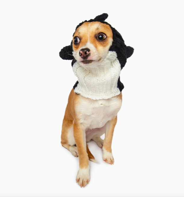Orca Dog Snood
