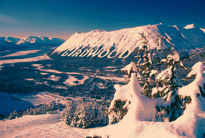 Screen Shot 2026-02-16 at 1.02.55 PM.png