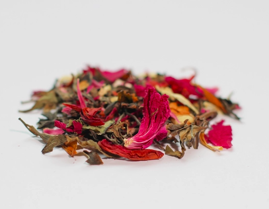 Screen Shot 2026-04-13 at 7.25.07 PM.png (Copy)