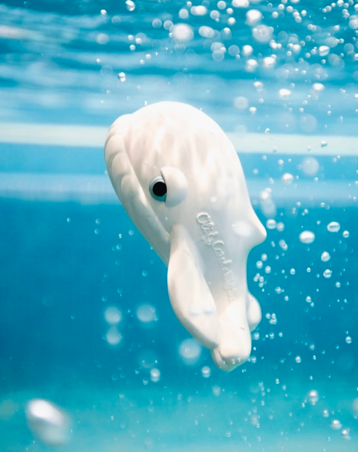 Screen Shot 2026-02-26 at 4.24.22 PM.png