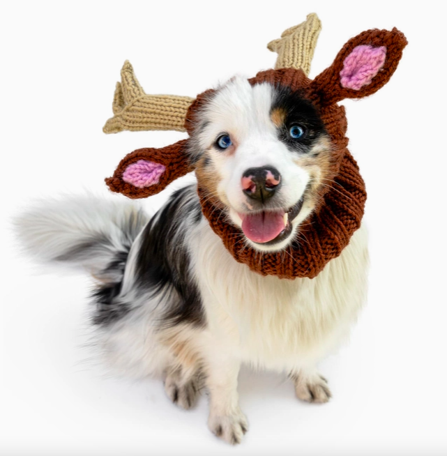 Reindeer Dog Snood