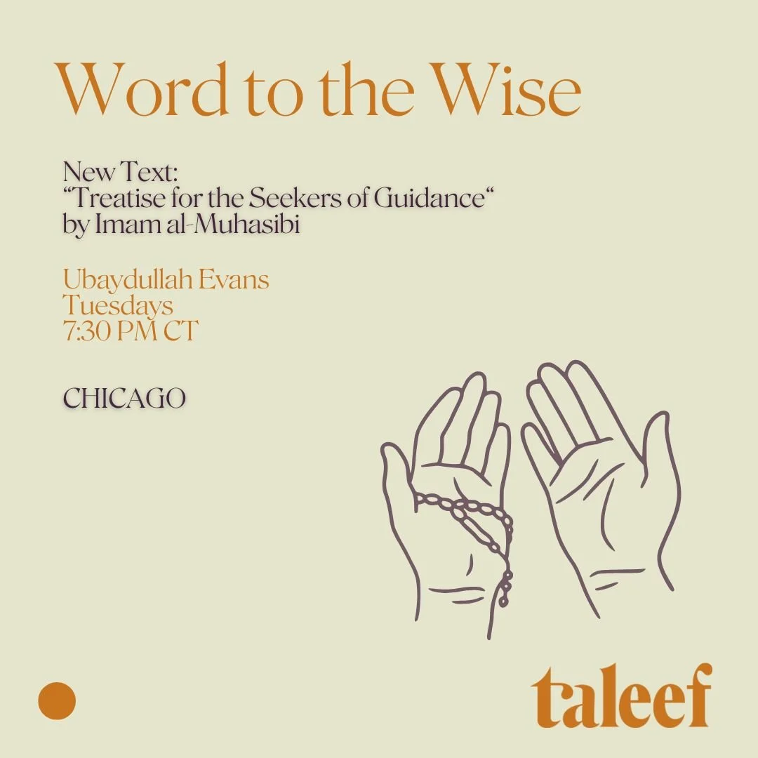 Copy of Stara's File (6).jpg