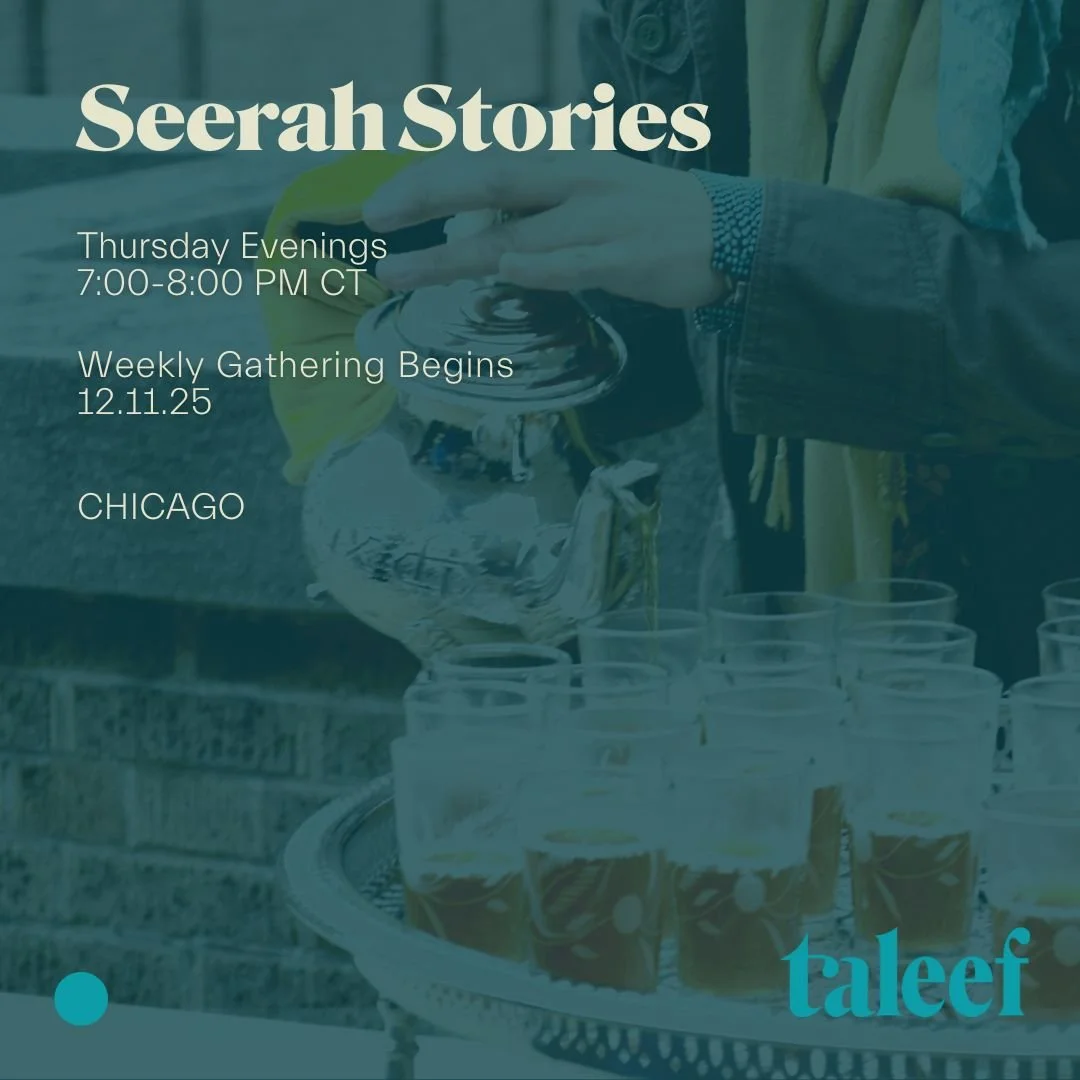 Copy of Stara's File.jpg