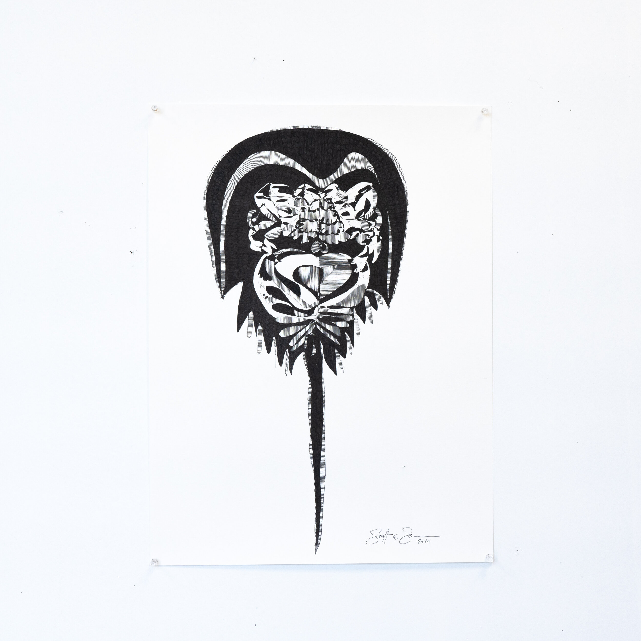 Horseshoe Crab, 2019