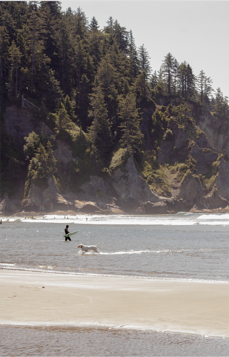 Screen Shot 2020-08-16 at 12.09.39 PM.png