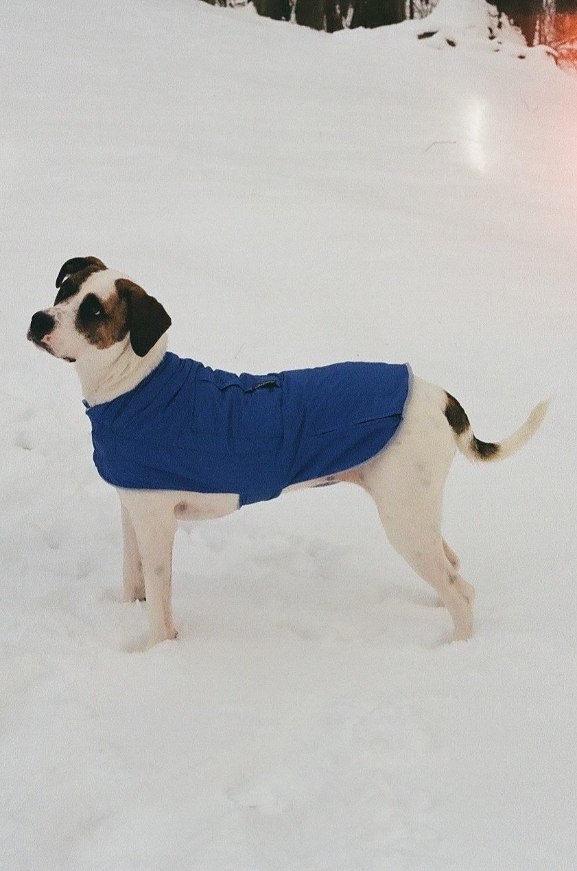 Doggie Winter Coat