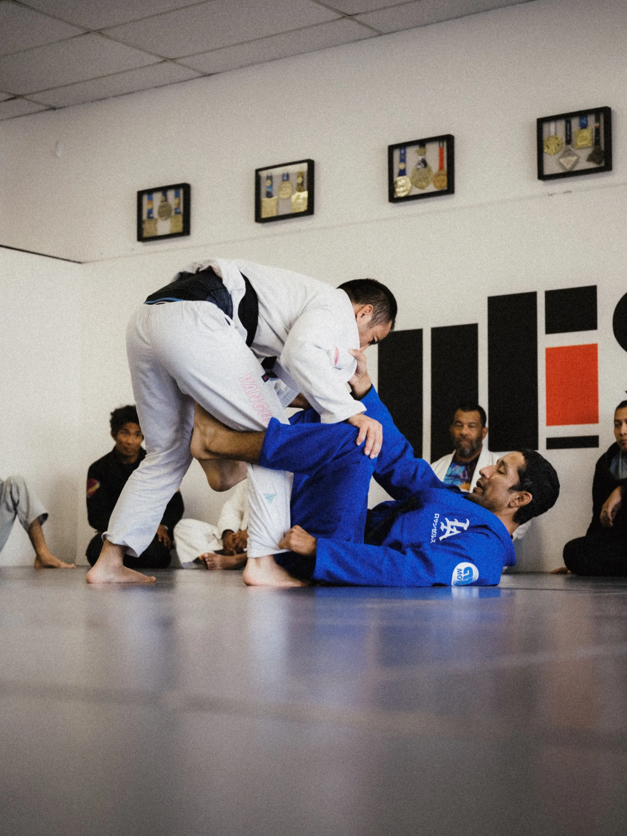 Morning All Levels 🥋

📸 @michaelaresphoto 

#jiujitsu #bjj #carpiojiujitsu #longbeach #diy