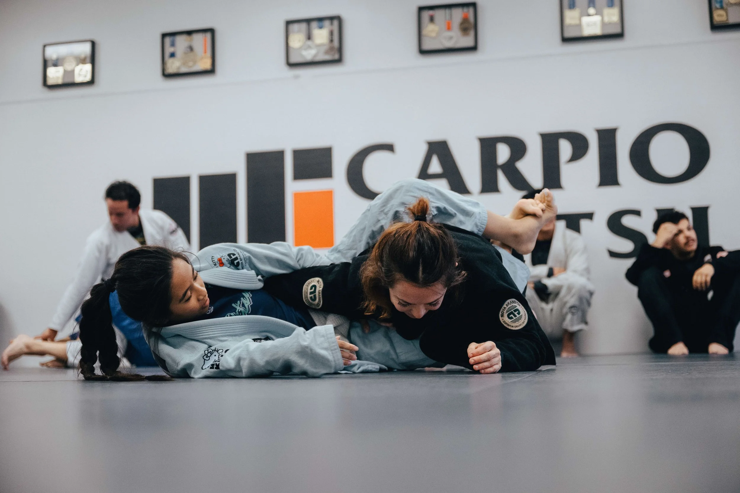 Group of Brazilian Jiu-Jitsu practitioners training on mats in a dojo, some practicing arm locks, with banners and framed pictures on the wall.