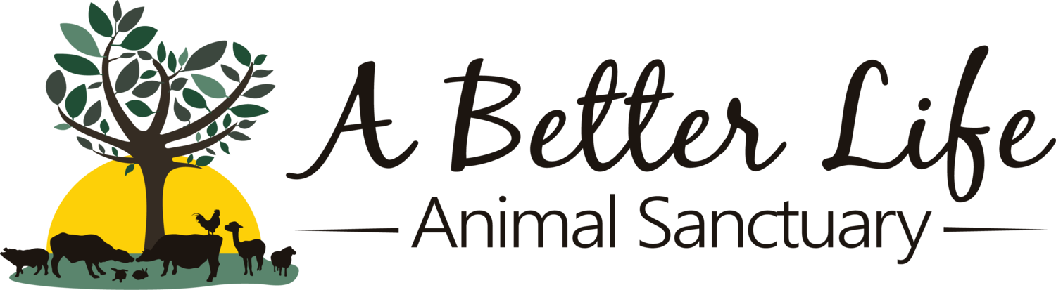 A Better Life Animal Sanctuary