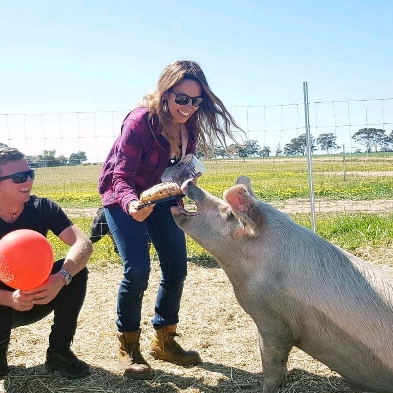 A very Happy 1st Birthday to the Big, Rick #Pig. The Family who #adopted Ricky from the farmer when he was the runt of the litter and expected not to make it, surprised him with a big, birthday cake!!! ⠀
⠀
Of course it didn't last long between the pi