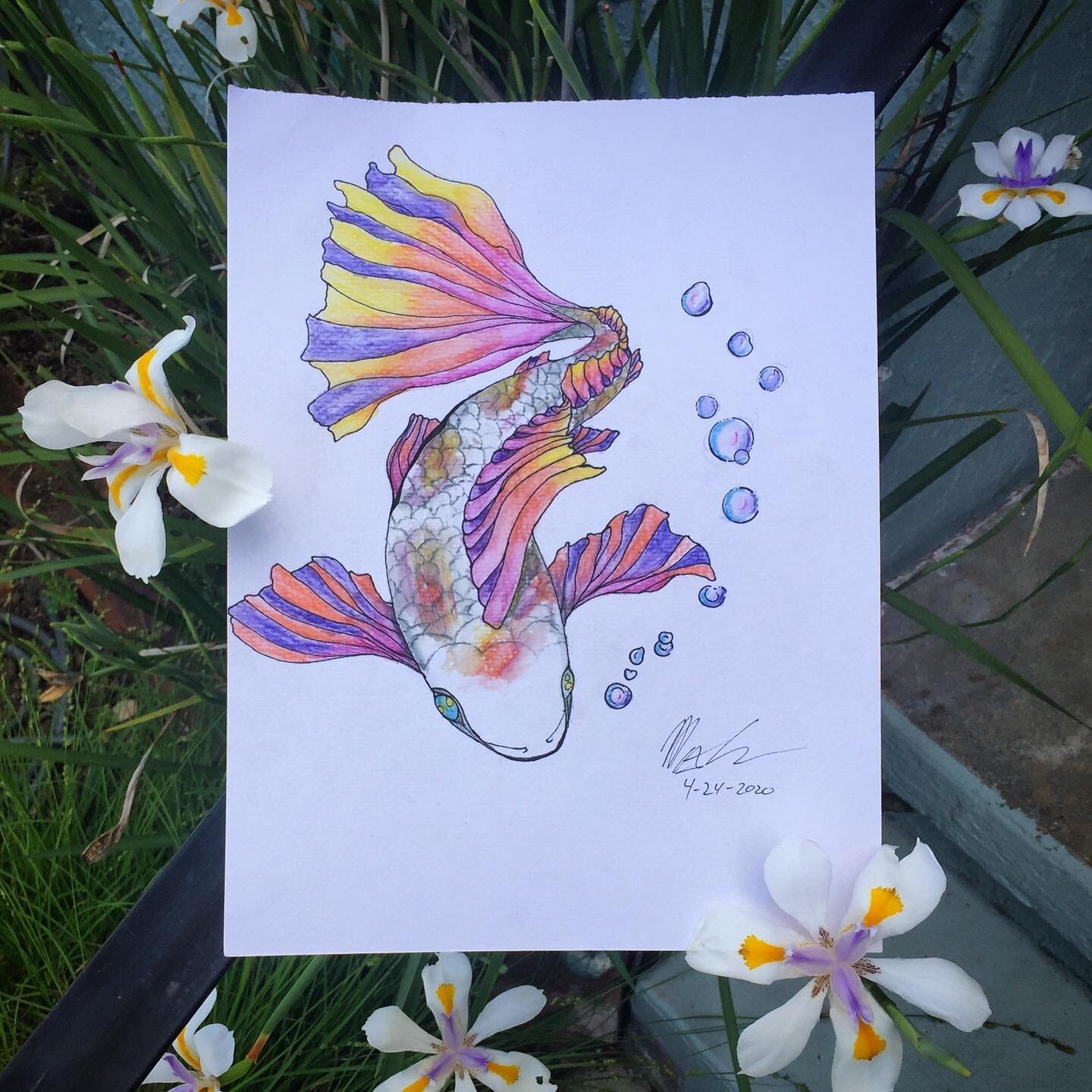 Just Keep Swimming 🐟 freehand quarantine koi sketch by our designer Max Cohen 🖌
.
#skyecat #skyecatgraphics #scg #skyecatoriginals #custom #graphic #design #koi #justkeepswimming