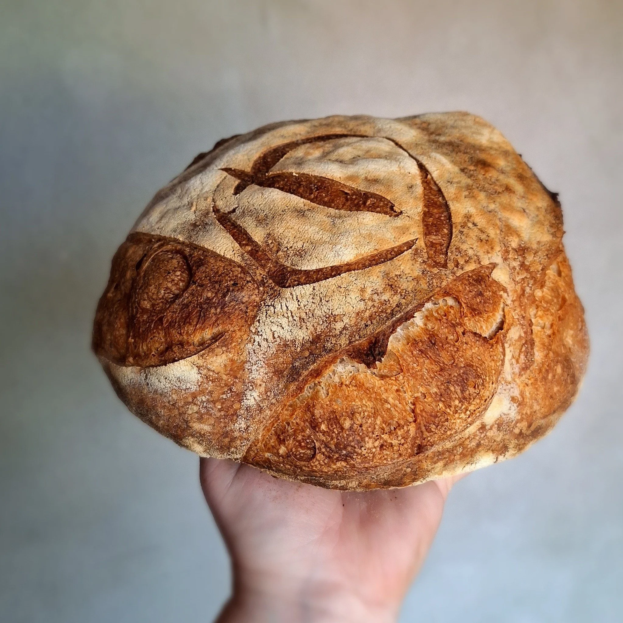 &Aring;pent bakeri l&oslash;rdag 30.mai🌸🌼🌸🌼

Vi har hatt en liten surdeigspause, men n&aring; blir det p&aring;n igjen med gode melkesyrebakterier 👌

Dette kan bestilles;
&Oslash;verlandbr&oslash;d (surdeig)
Havrebr&oslash;d 
Muslibr&oslash;d 
S