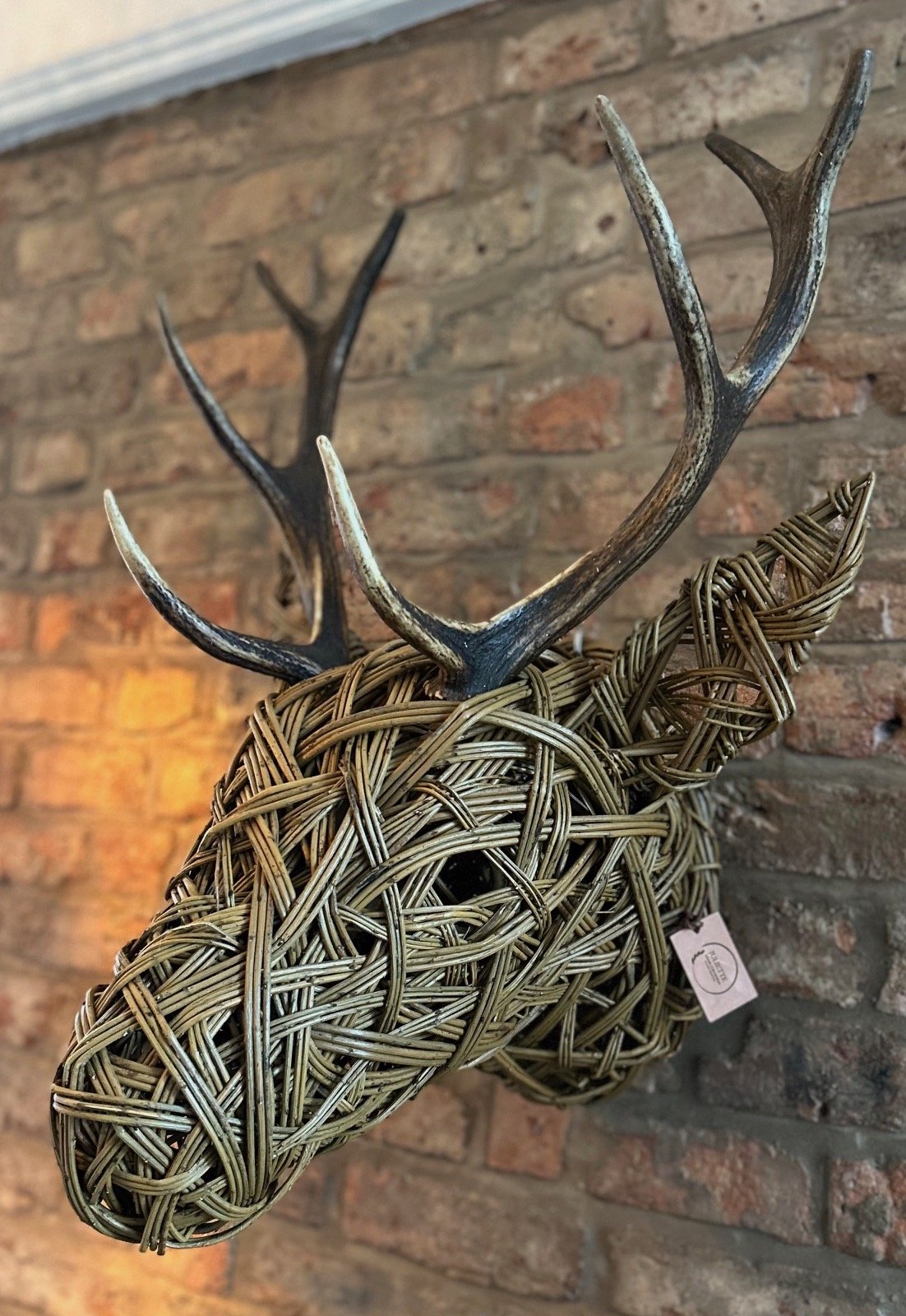 Stag's head real antlers large 1.jpeg