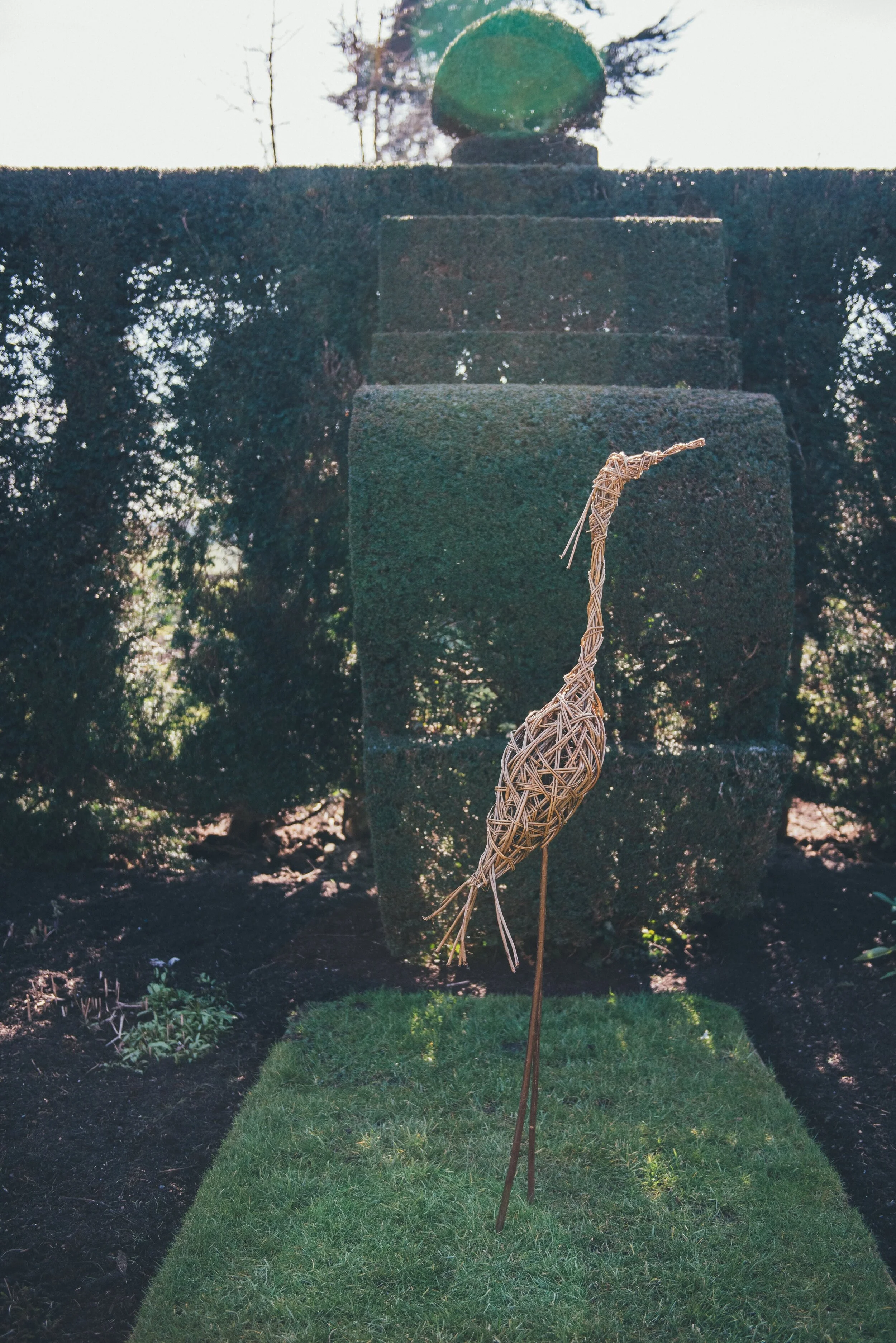 heron
