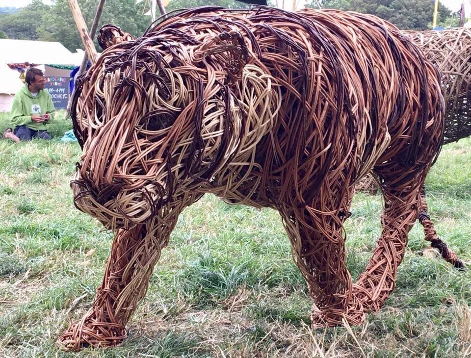 Tiger endangered species jungle