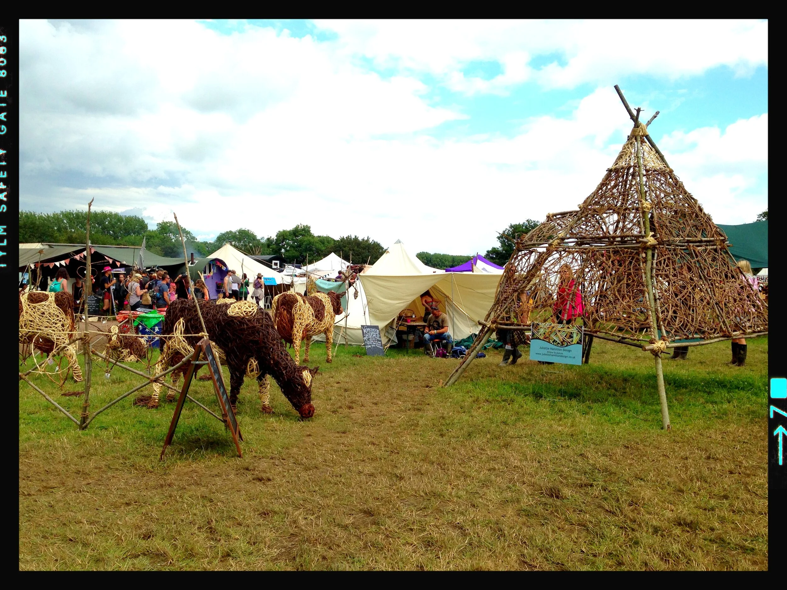 Cows and pyramid stage
