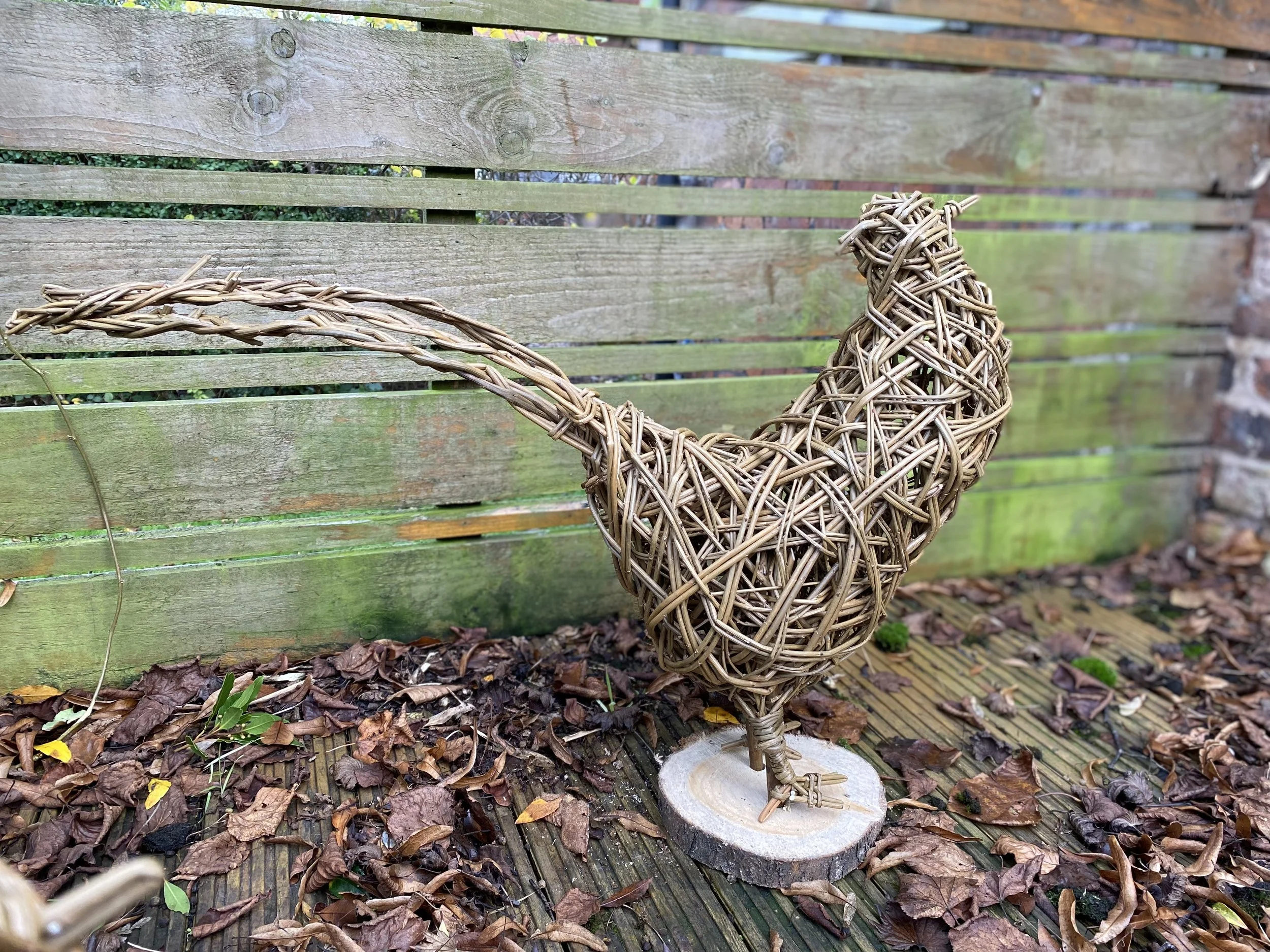 Chickens, cockerels or pheasants at Arley Hall - £75 - 5 spaces left